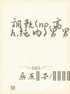 调教(np,高h,纯肉)男男
