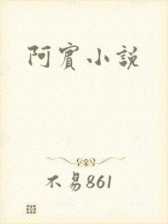 阿宾小说