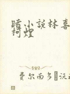 赌小说林喜朝和柯煜