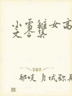 小处雏女高辣h文合集