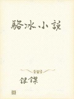 骆冰小说
