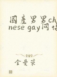 国产男男chinese gay网站