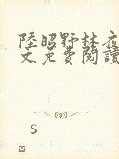 陆昭野林夜棠全文免费阅读最新章节