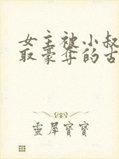 女主被小叔子强取豪夺的古言