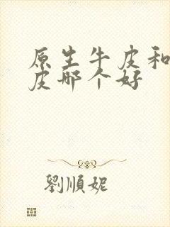 原生牛皮和头层皮哪个好