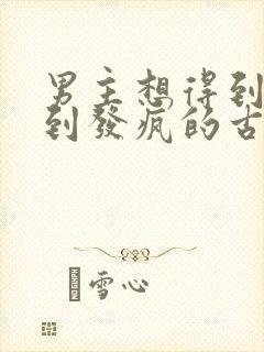 男主想得到女主到发疯的古言