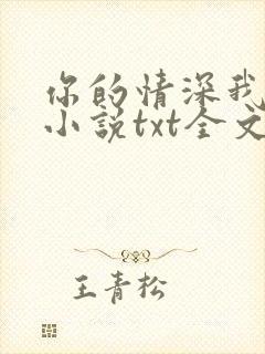 你的情深我不配小说txt全文下载