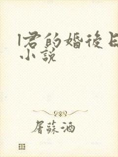 l君的婚后日常小说