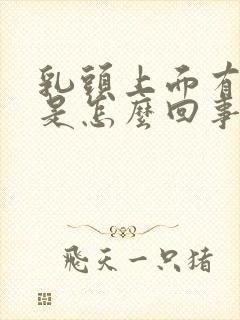 乳头上面有疙瘩是怎么回事