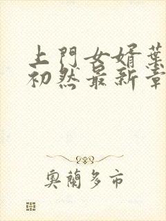 上门女婿叶辰萧初然最新章节