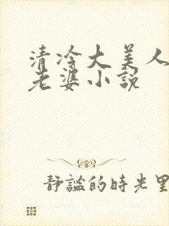 清冷大美人是我老婆小说