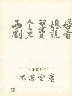 两个儿媳妇电视剧免费观看封面