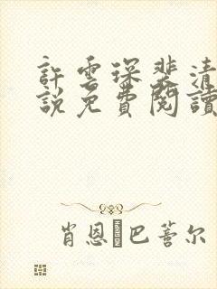 许云琛裴清欢小说免费阅读无弹窗封面