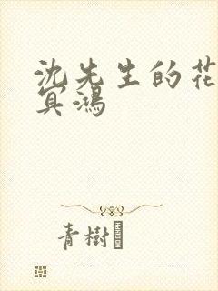 沈先生的花式调冥鸿封面