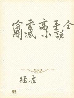 偷香高手全文无删减 小说