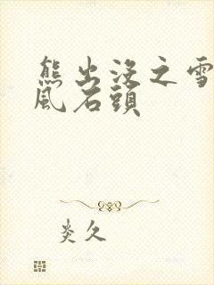 熊出没之雪岭熊风石头