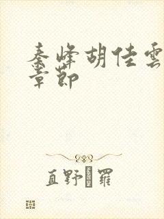 秦峰胡佳云最新章节