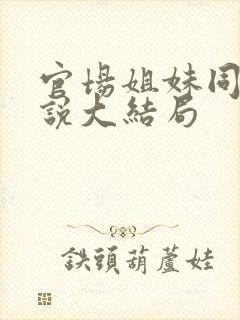 官场姐妹同夫小说大结局