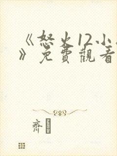 《怒火12小时》免费观看 完整