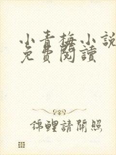 小青梅小说全文免费阅读