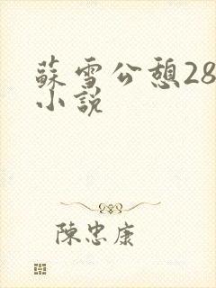 苏雪公憩28篇小说