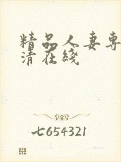 精品人妻专区高清在线