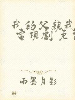 我的父亲我的兵 电视剧 免费观看