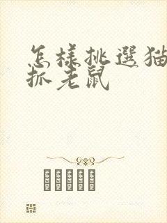 怎样挑选猫咪会抓老鼠