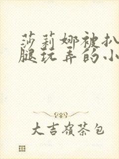 莎莉娜被扒开双腿玩弄的小说