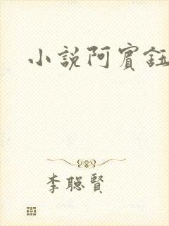 小说阿宾钰慧