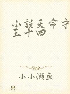 小说天命守村人王十四