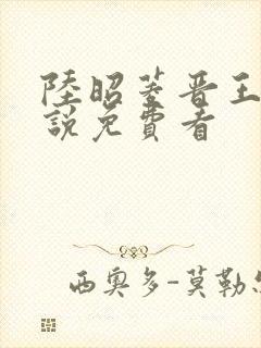 陆昭菱晋王的小说免费看封面