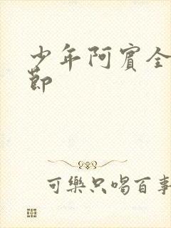 少年阿宾全部章节封面