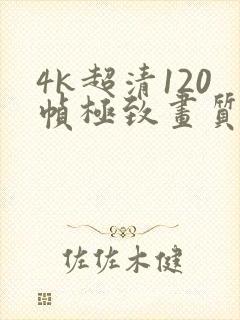 4k超清120帧极致画质下载