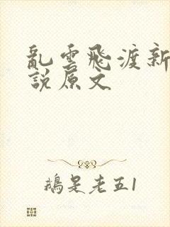 乱云飞渡新编小说原文封面