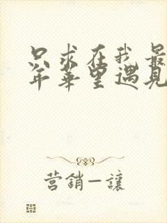 只求在我最美的年华里遇见你