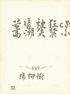 若曦被狂c躁到高潮失禁小说