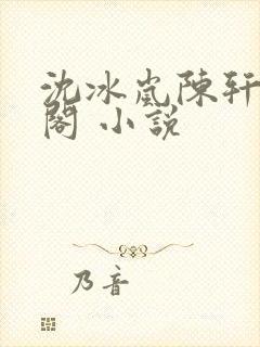 沈冰岚陈轩笔趣阁 小说封面