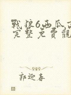 战狼6西瓜高清完整免费观看国语电影