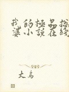 我的极品总裁老婆小说在线阅读