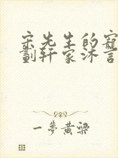 宋先生的宠妻计划轩家沐言