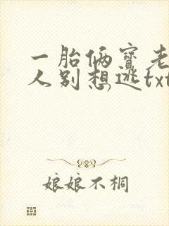 一胎俩宝老婆大人别想逃txt下载封面