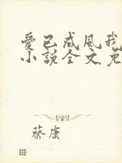 爱已成风我成凰小说全文免费阅读无弹窗