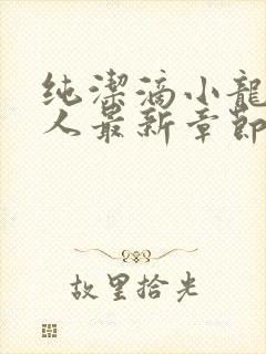 纯洁滴小龙捞尸人最新章节更新