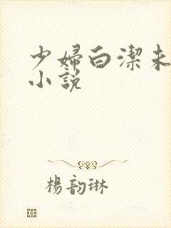 少妇白洁未删减小说