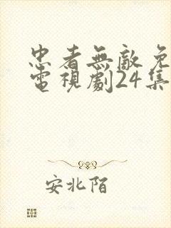 忠者无敌免费版电视剧24集播放