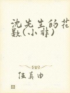 沈先生的花式调数(小非)