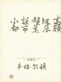 小说超级高手在都市叶辰顾梦瑶