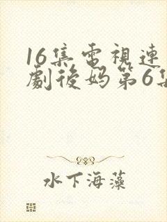 16集电视连续剧后妈第6集