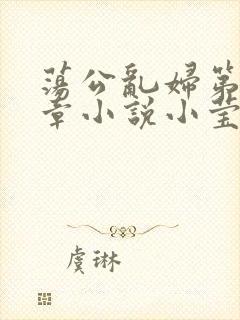 荡公乱妇第51章小说小莹